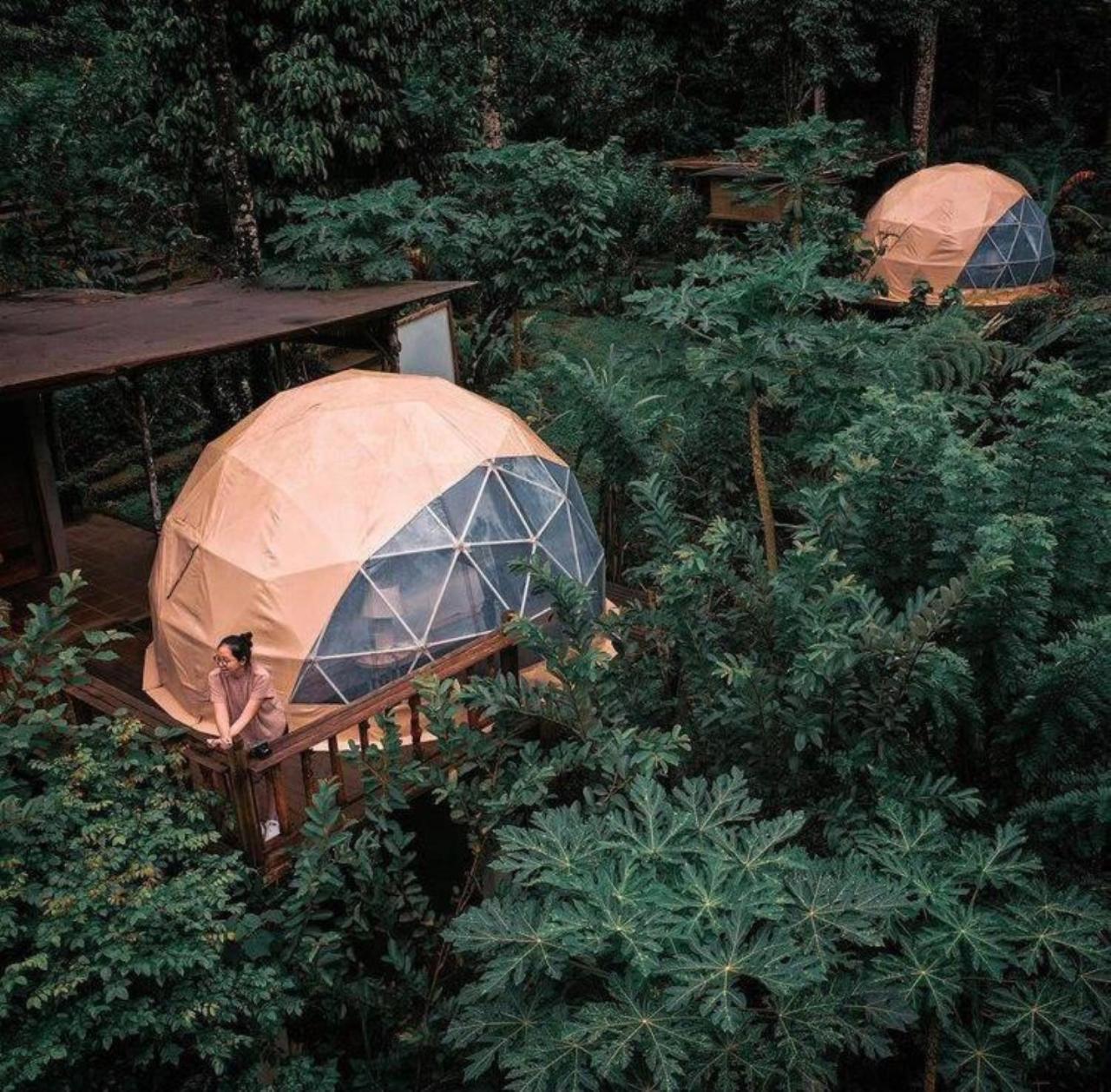 Hotel Bali Jungle Camping By Amerta Experience Selemadeg Exterior foto